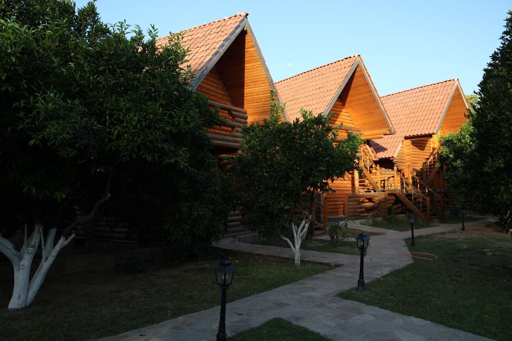 גוינוק Woodline Hotel מראה חיצוני תמונה