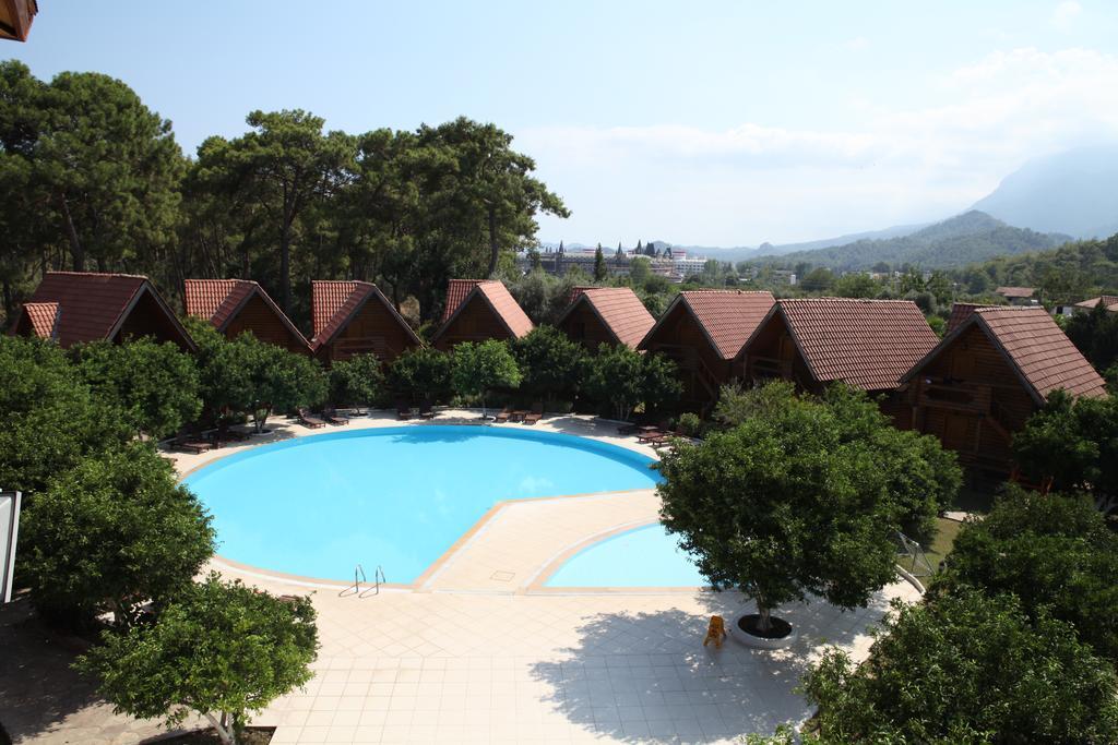 גוינוק Woodline Hotel מראה חיצוני תמונה