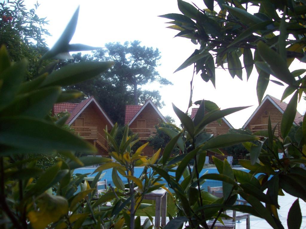 גוינוק Woodline Hotel מראה חיצוני תמונה