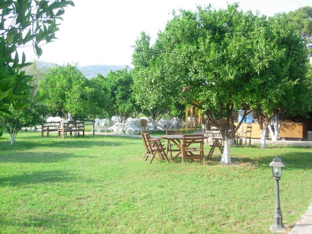 גוינוק Woodline Hotel מראה חיצוני תמונה