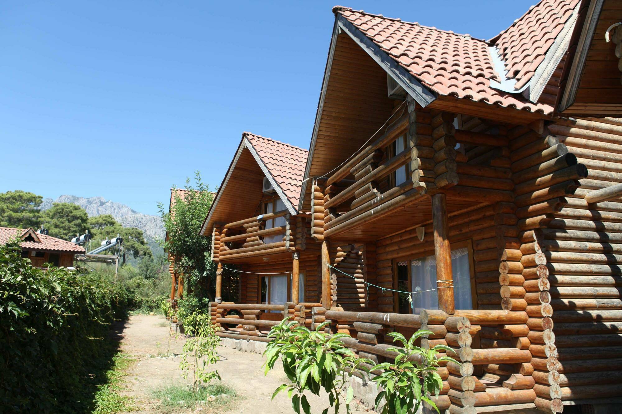 גוינוק Woodline Hotel מראה חיצוני תמונה