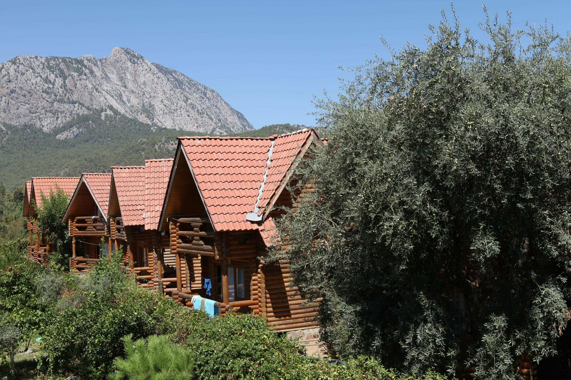 גוינוק Woodline Hotel מראה חיצוני תמונה