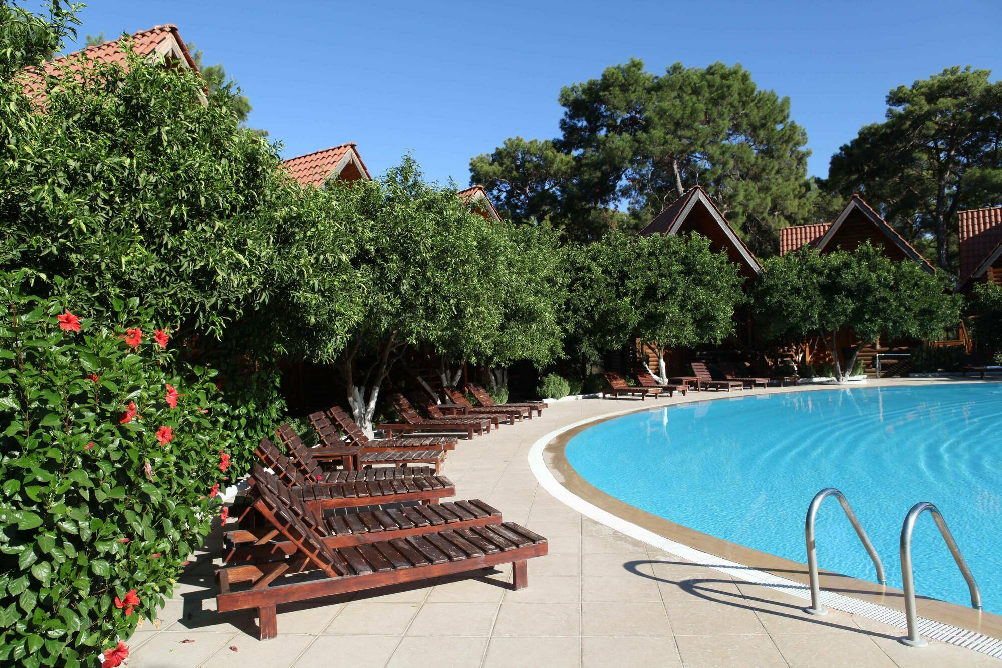 גוינוק Woodline Hotel מראה חיצוני תמונה
